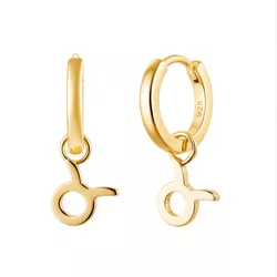 Stříbrné náušnice BÝK GOLD 9588