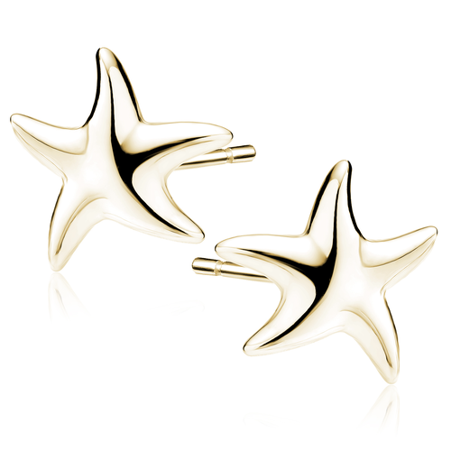 Stříbrné náušnice HVĚZDICE GOLD 9860