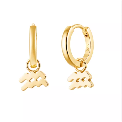 Stříbrné náušnice VODNÁŘ GOLD 9597
