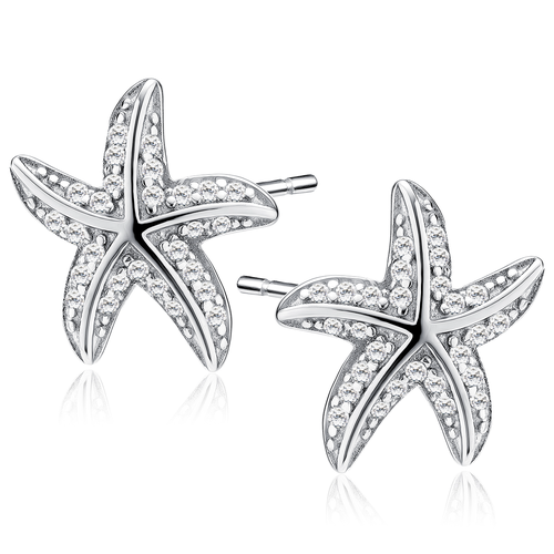 Stříbrné náušnice HVĚZDICE 9861